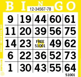 1on Bingo Paper By The Bundle